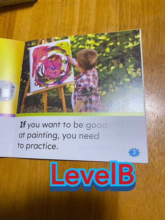 NonfictionSight Word ReadersABCD100冊セット