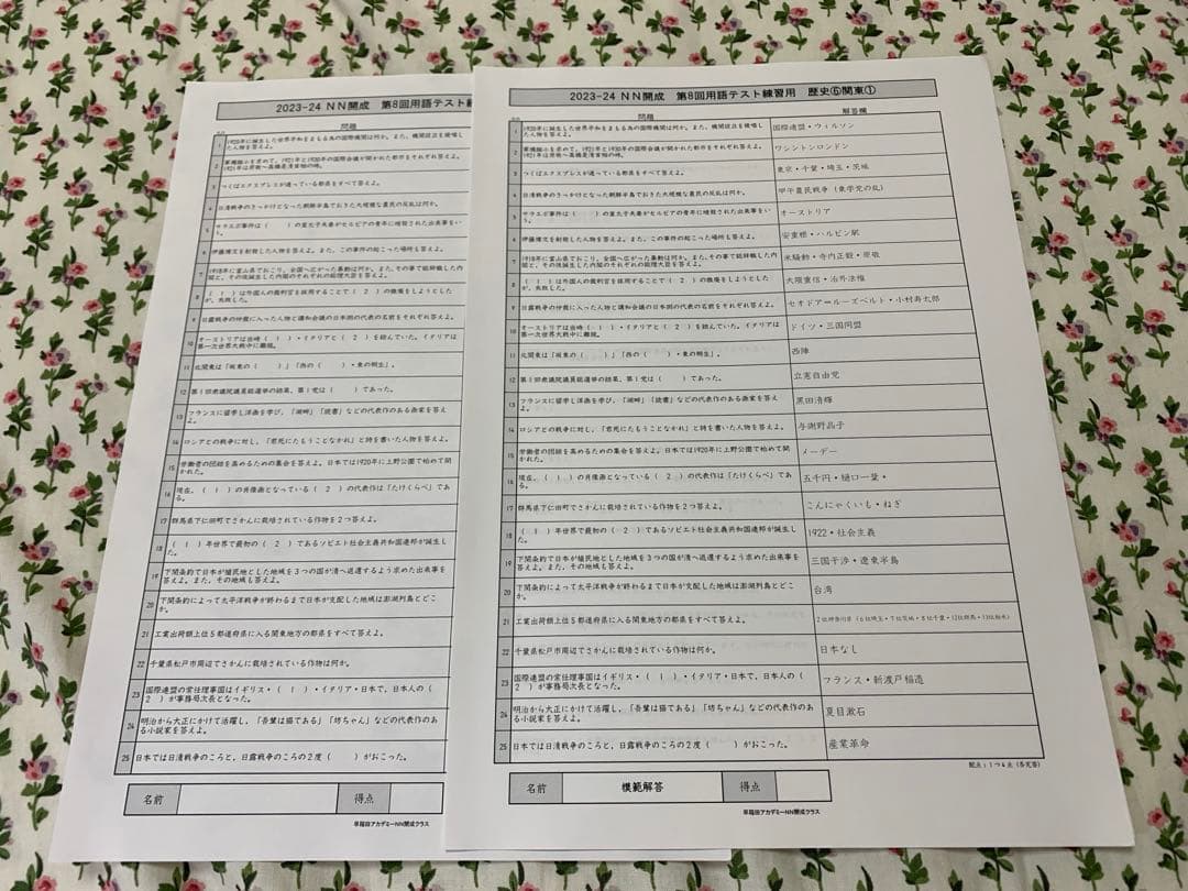 早稲田アカデミー NN開成クラス 専用テキストセット