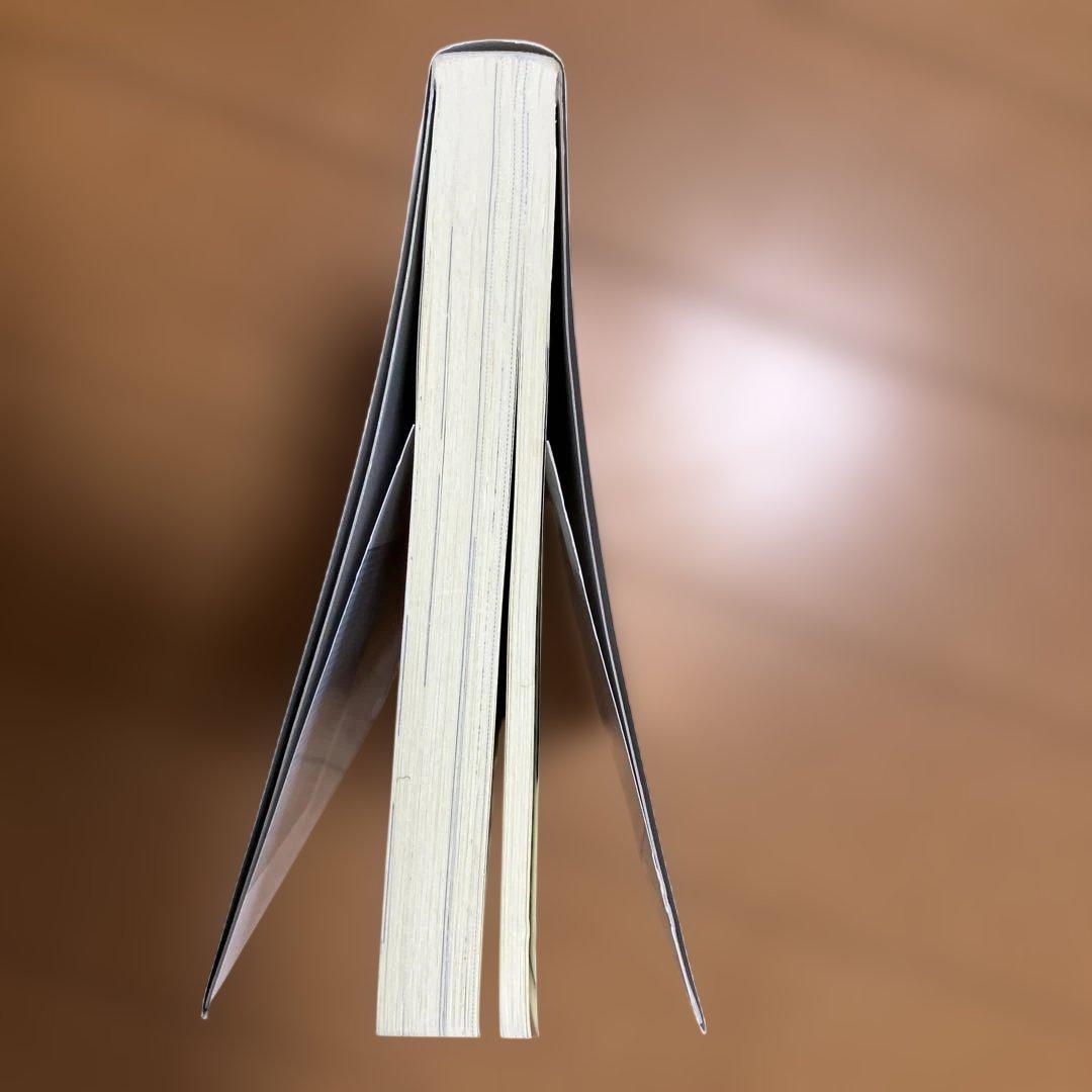 檻の外　木原音瀬　レア品