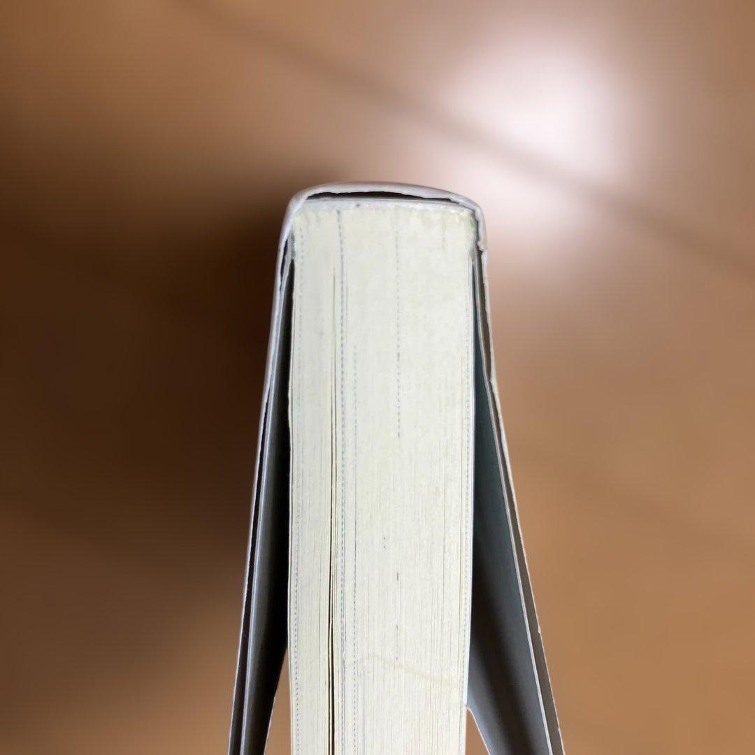 檻の外　木原音瀬　レア品