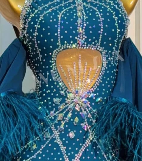 オーダーメイド　社交ダンス衣装　スタンダードドレス オーストリッチ羽根