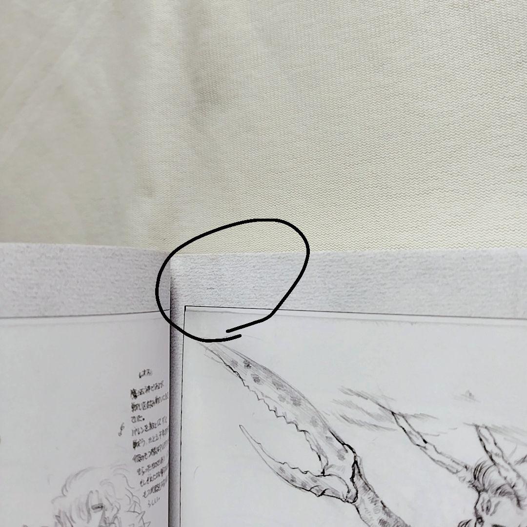 織音計画限定版　ALICESOFT　希少品　画集　アートワーク