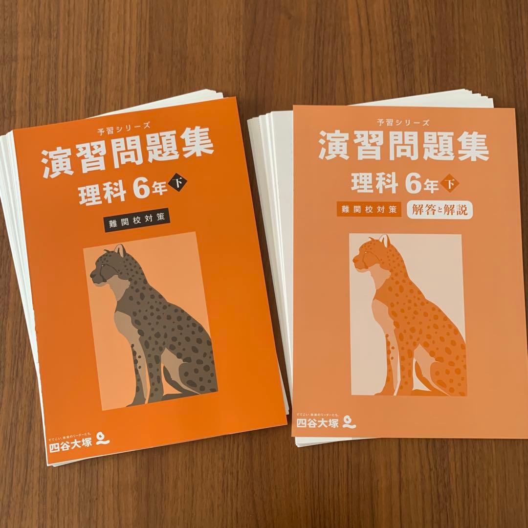未使用 四谷大塚 2025年版 6年下 難関校対策 セット 予習シリーズ 合不合