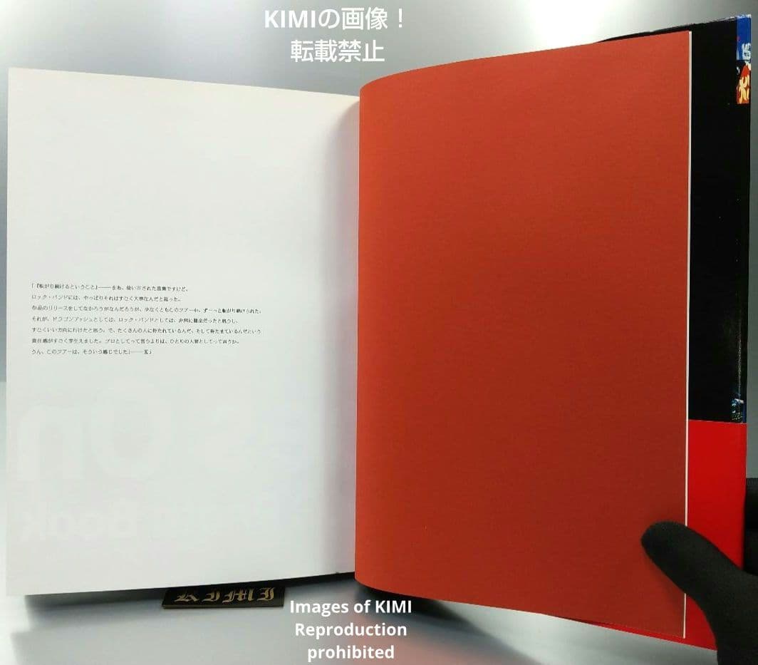 初版 Live Goes On Dragon Ash Tour 2 本 2003