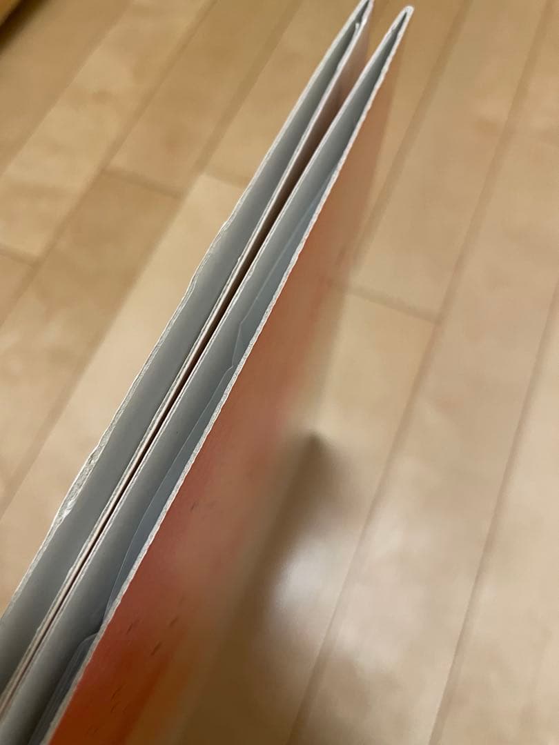 D.A.N. / Sonatine 2枚組アナログ盤　レコード LP