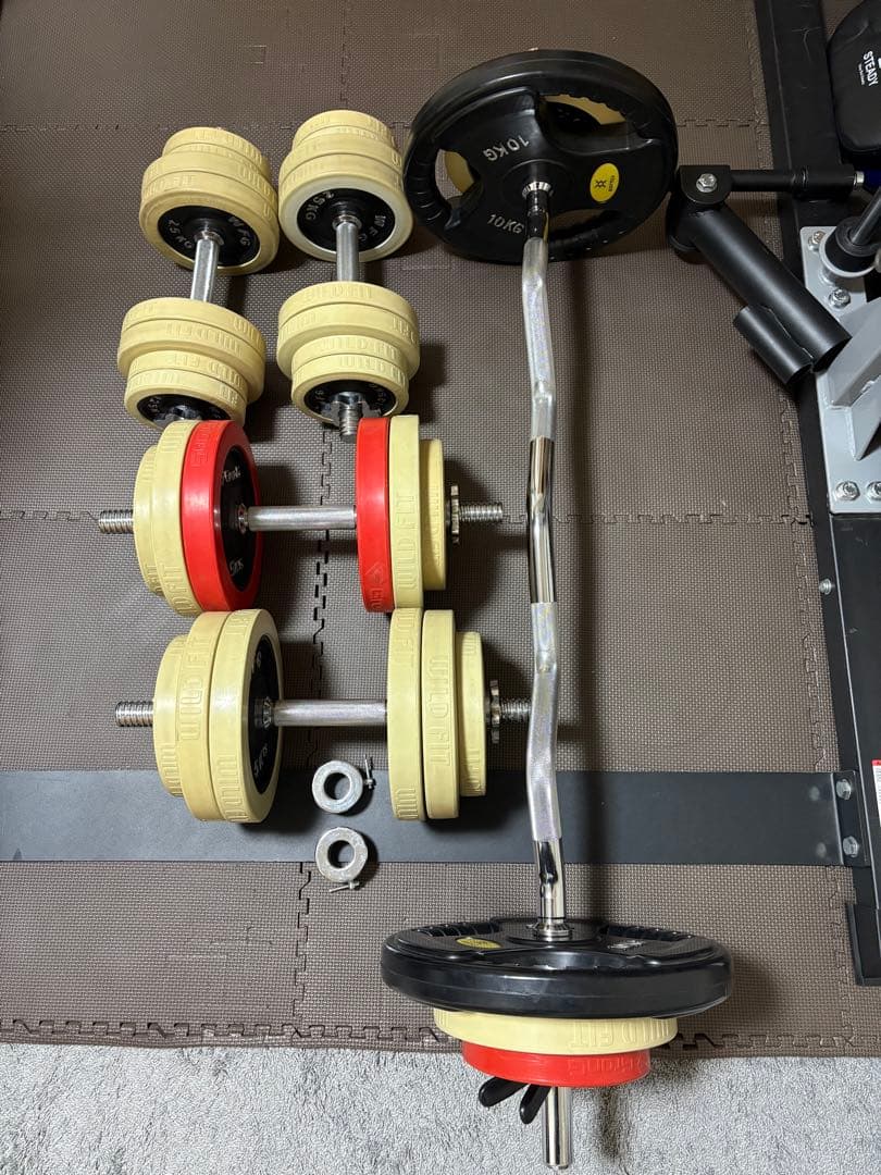 BODY DESIGN プレートラックDX付 ホームジムセット 【引き取り限定】