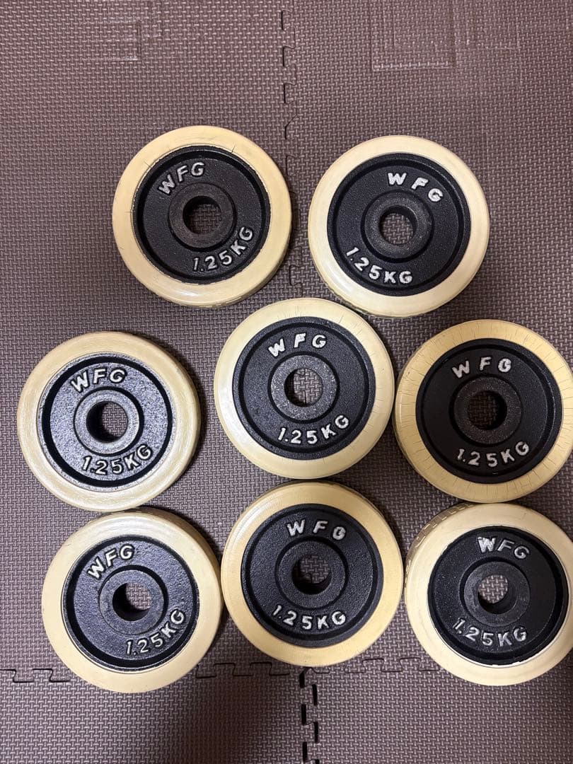 BODY DESIGN プレートラックDX付 ホームジムセット 【引き取り限定】