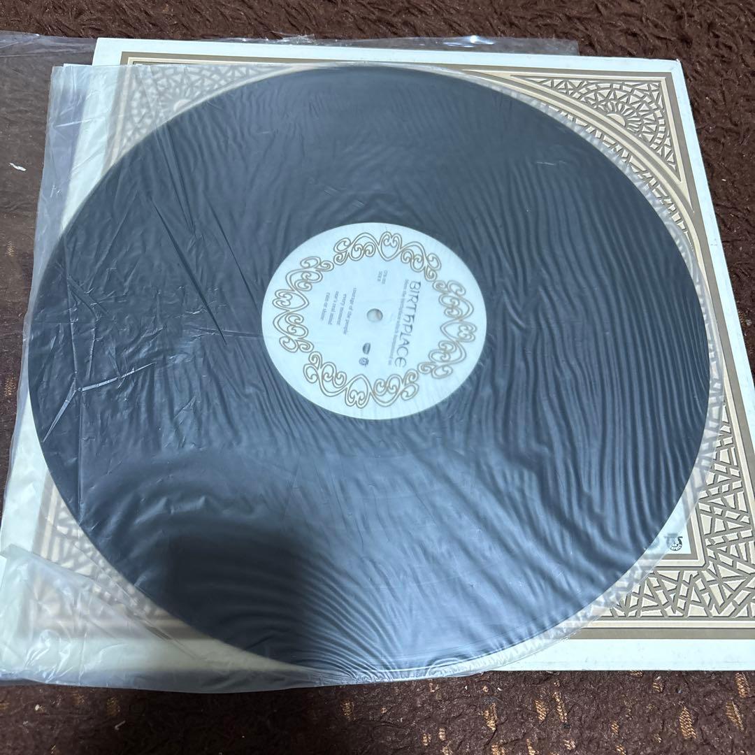 BIRTHPLACE 12インチ 廃盤 超レア盤