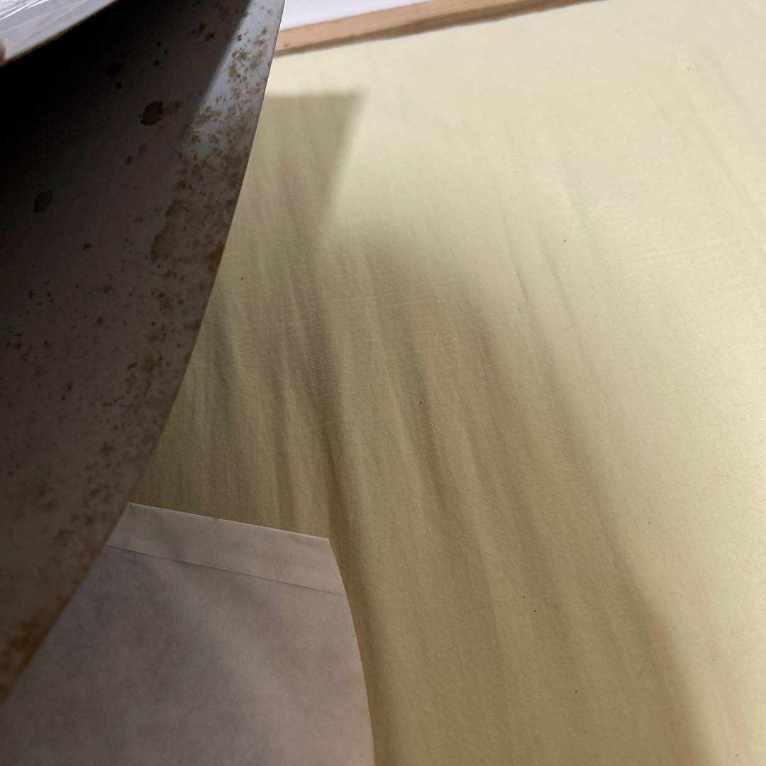 THE PIXIES SOULS ON FIRE レコード