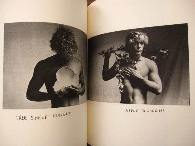 THE NATURE OF DESIRE　Duane Michals