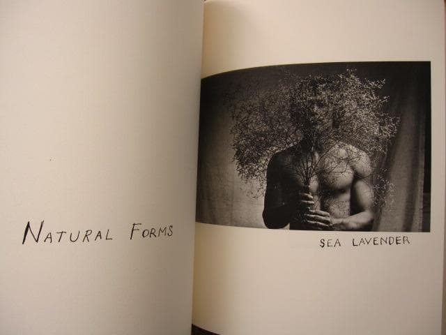 THE NATURE OF DESIRE　Duane Michals