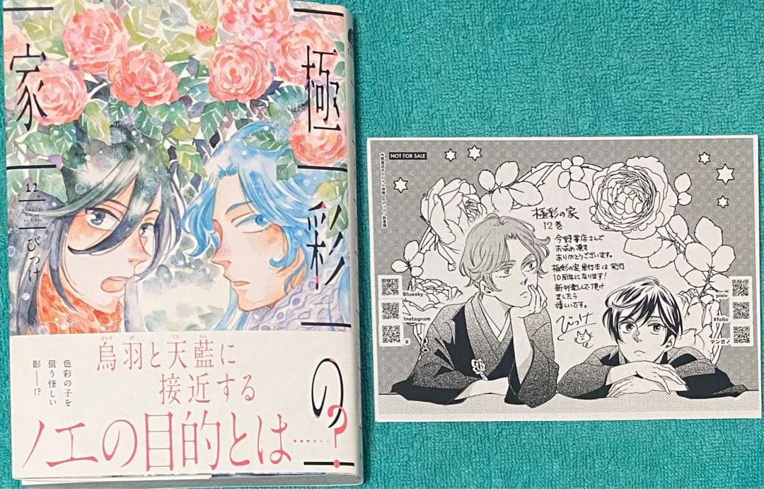 極彩の家 12 びっけ 直筆イラスト入りサイン本 新品未読品 特典付き 2