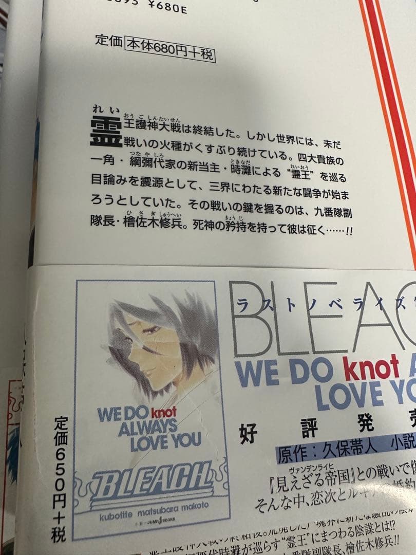 BLEACH 55-74巻＋Can't Fear Your Own World