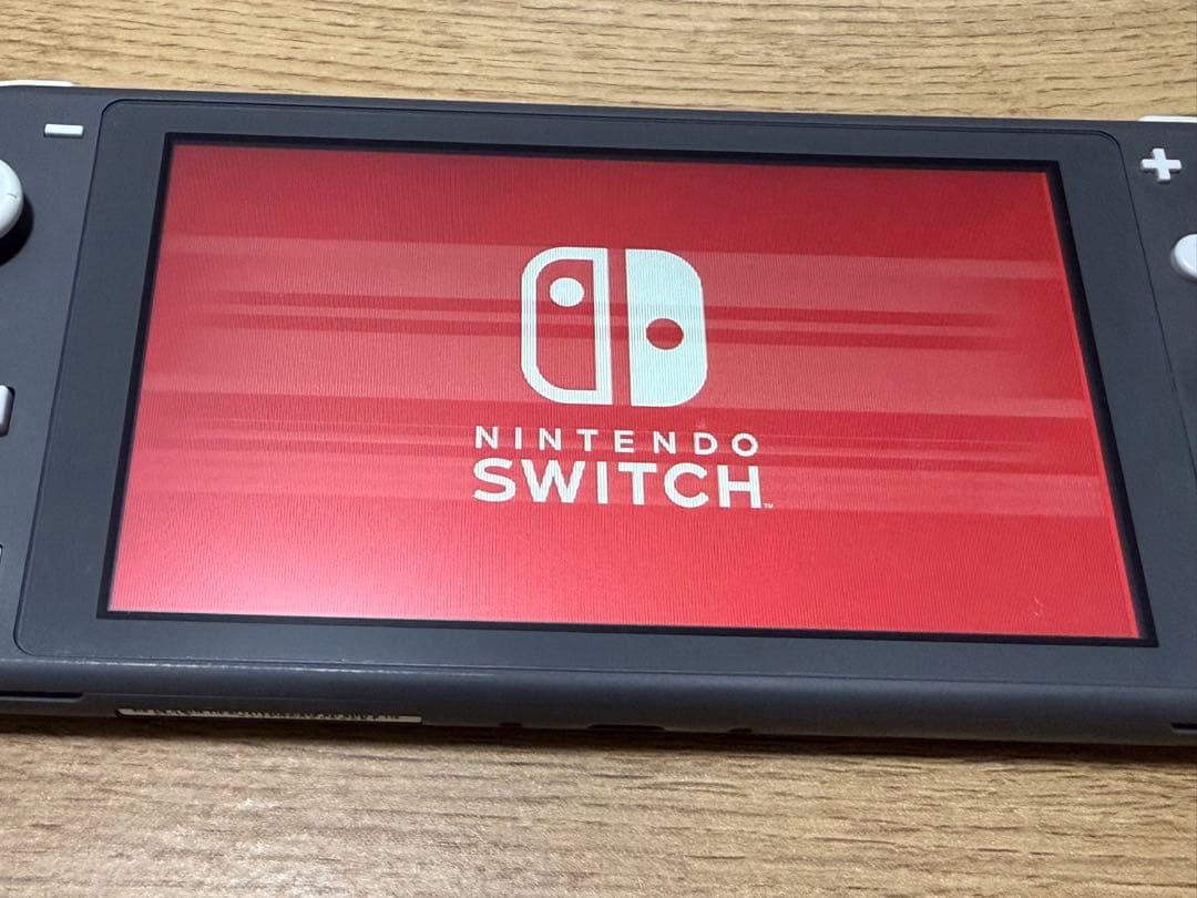 ※ジャンク品　Nintendo Switch Lite グレー