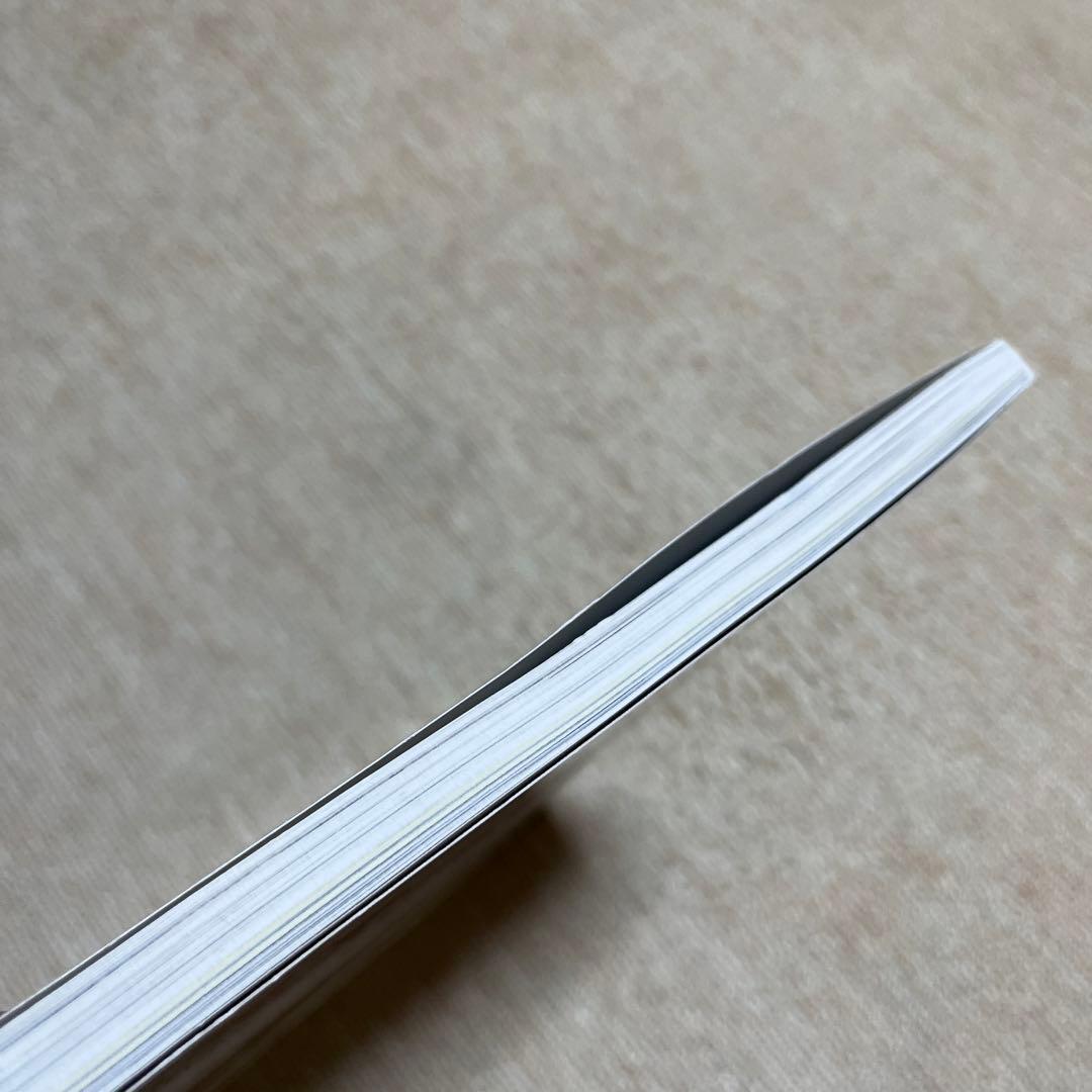 別冊太陽 デンマーク家具 時を超える魅惑のモダン・デザイン