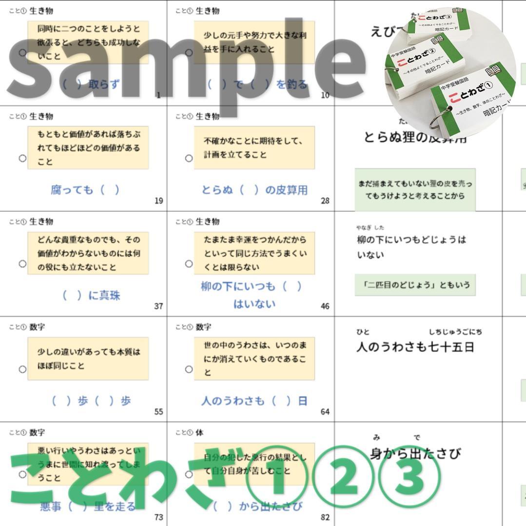 中学入試国語【069】受験に出る重要語句セット　サピックス　言葉ナビ上下対応