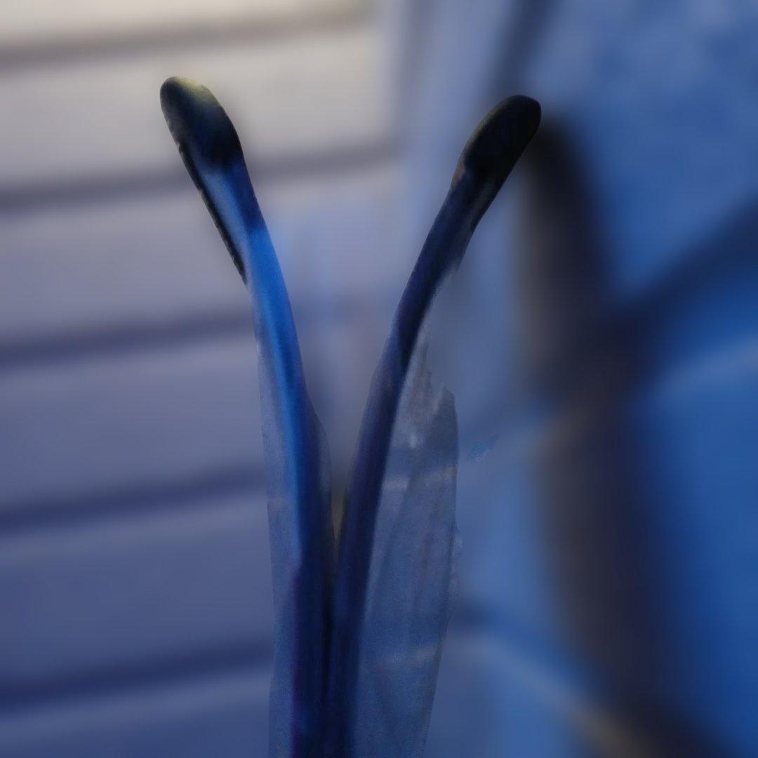 OGASAKA Unity スキー板