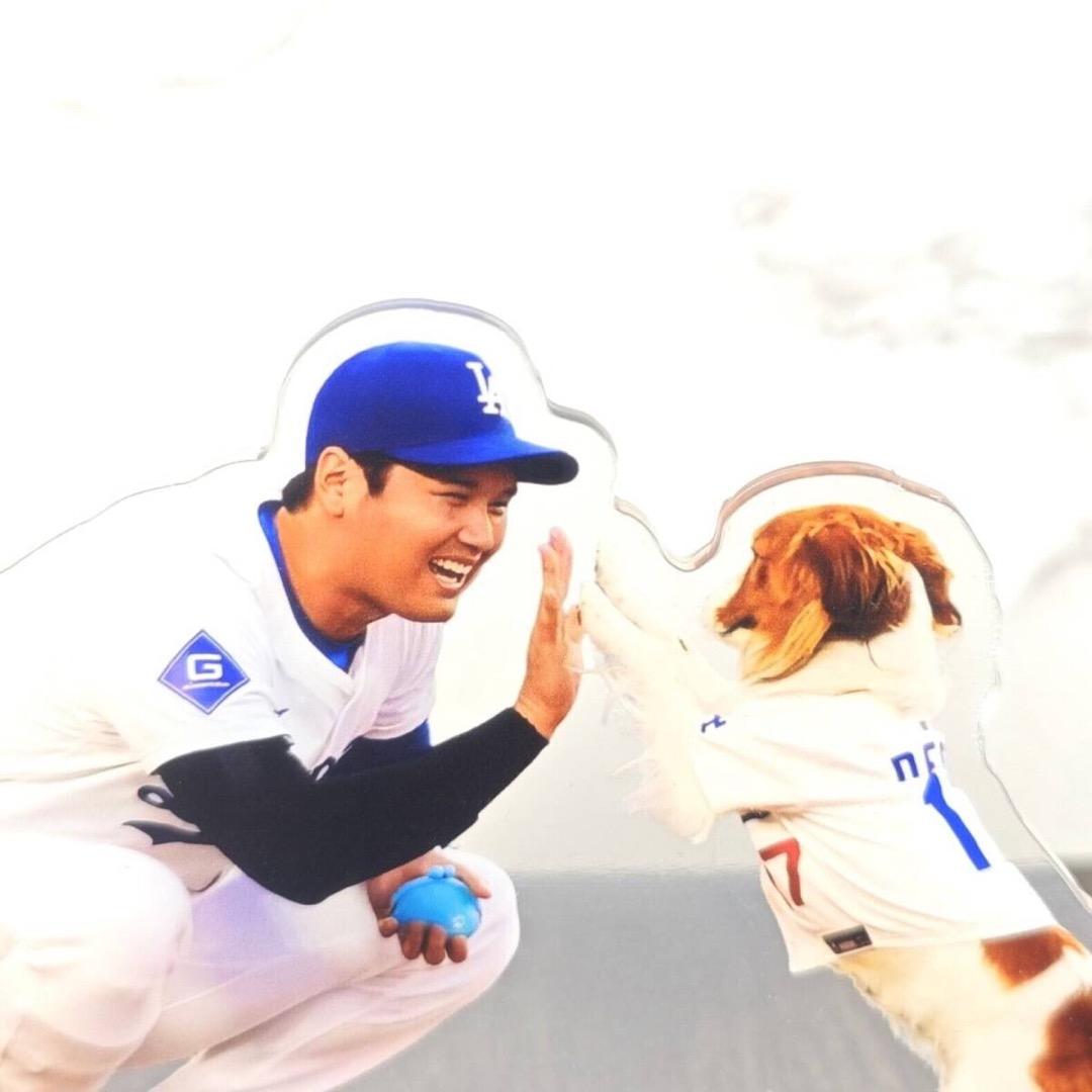 大谷翔平 選手アクリルスタンドDECOY TOUCH　大型デコピン