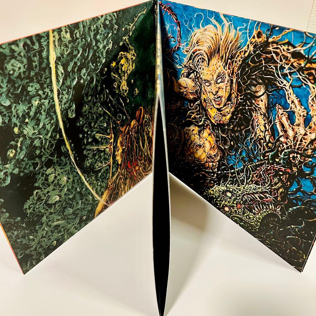 エヴァーグレイス サウンドトラック レコード LP フロムソフトウェア 星野康太