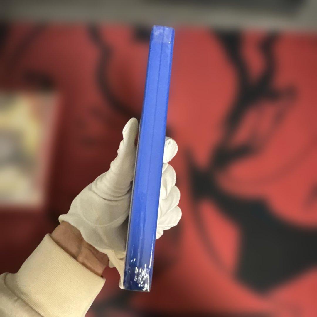 【新品未開封】2本セット ポケットモンスター オメガルビー アルファサファイア