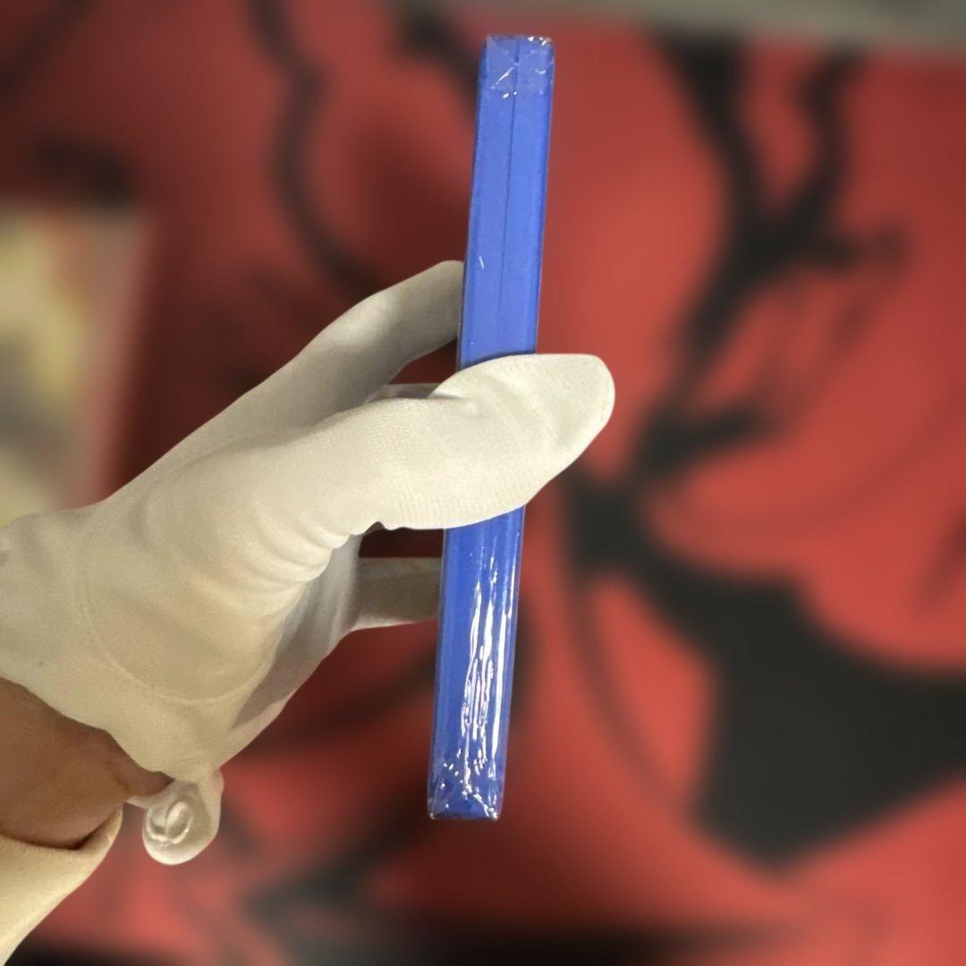 【新品未開封】2本セット ポケットモンスター オメガルビー アルファサファイア