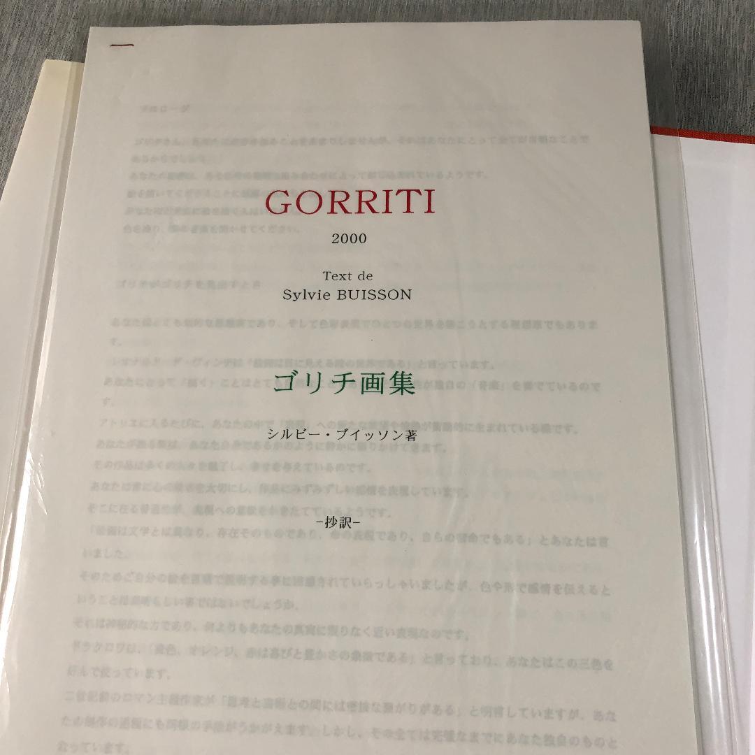 ジル・ゴリチ 画集 Gorriti 2000 図録 フランス