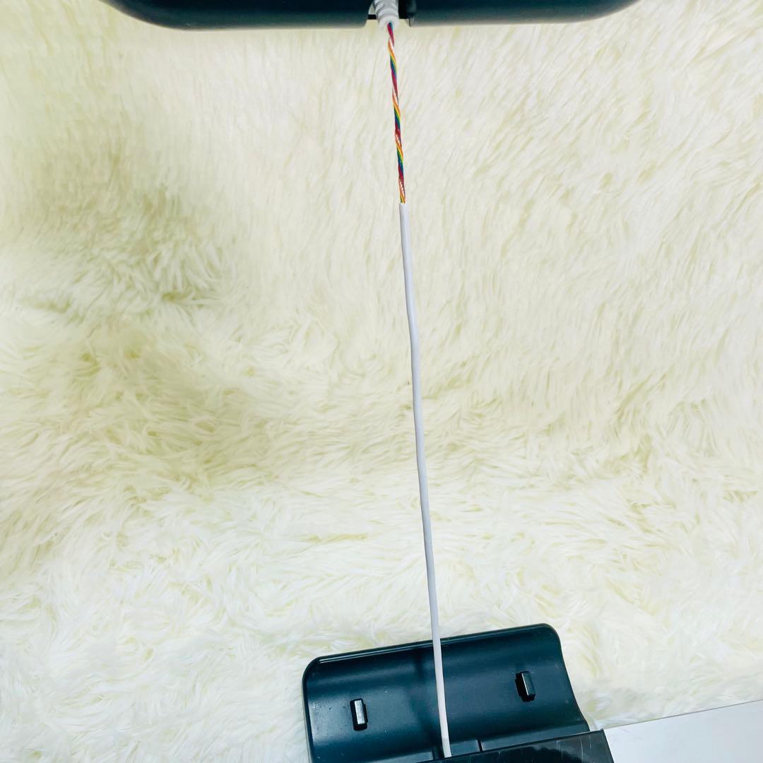 タニタRD-800 インナースキャンデュアル　体組成計 部位別　体重計　筋肉量