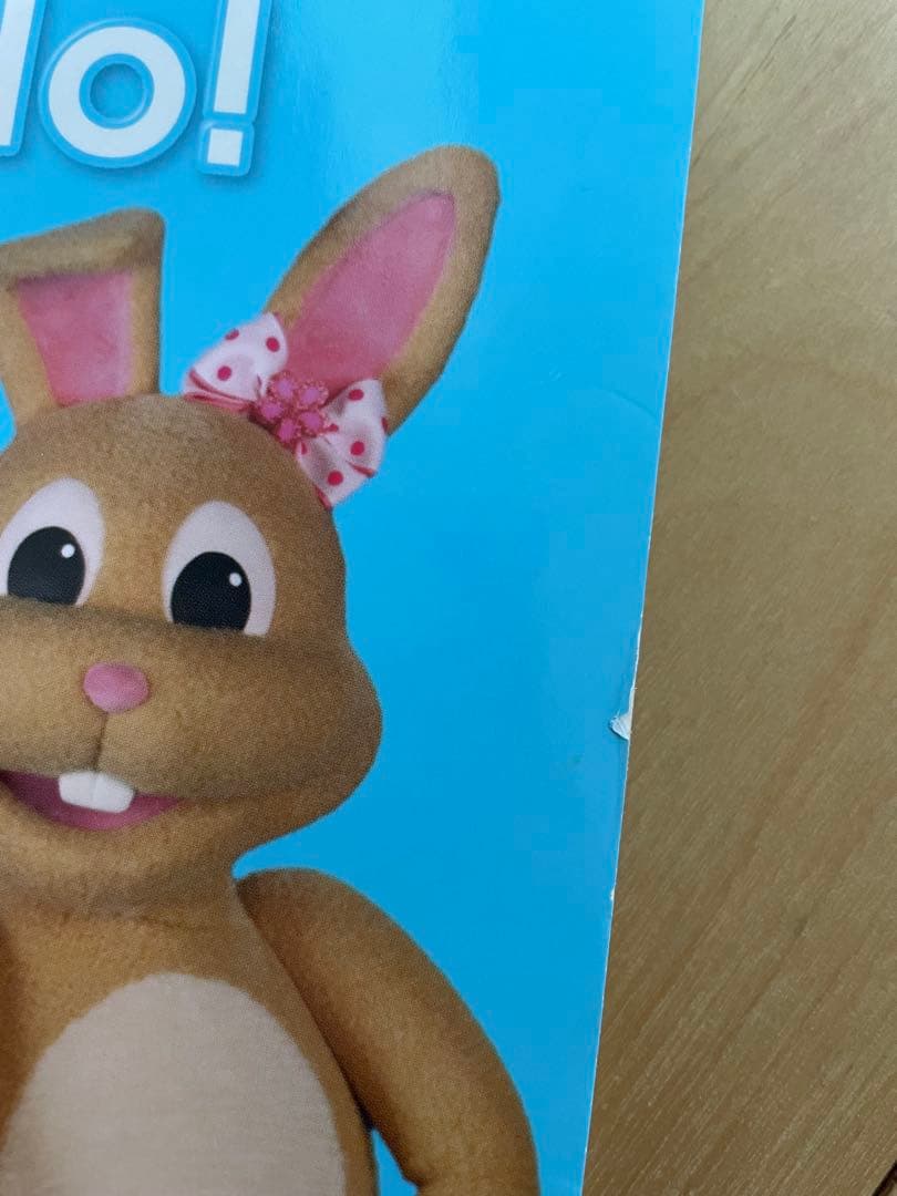 DWE Play Along! DVD CD 絵本セット歌詞入りガイドブック