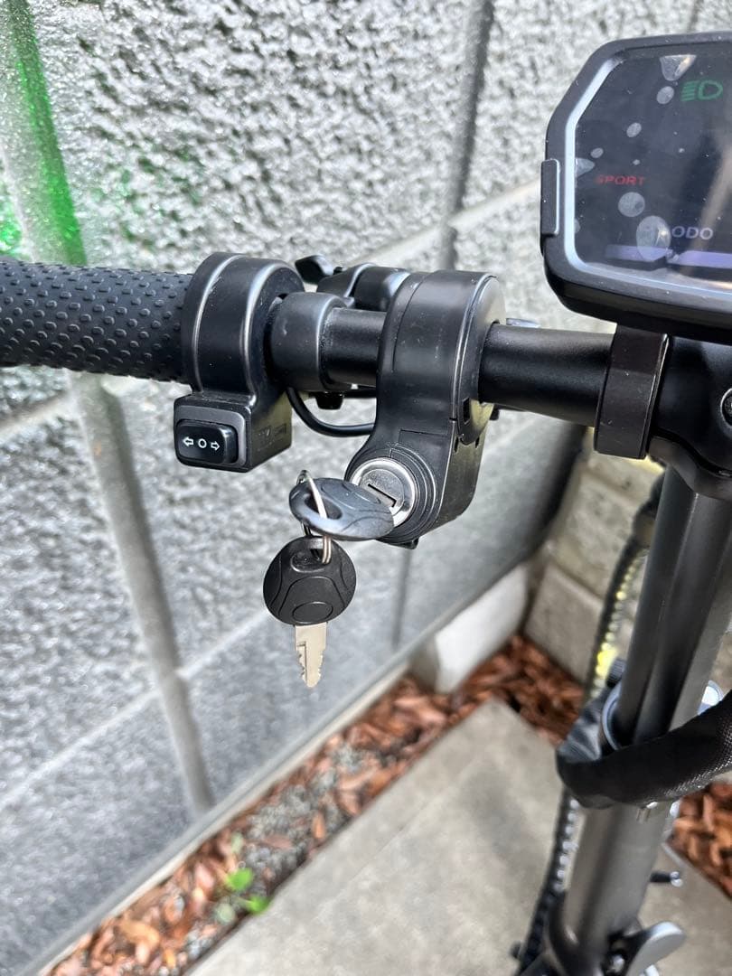 免許不要　RICH BIT CITY 折りたたみ式