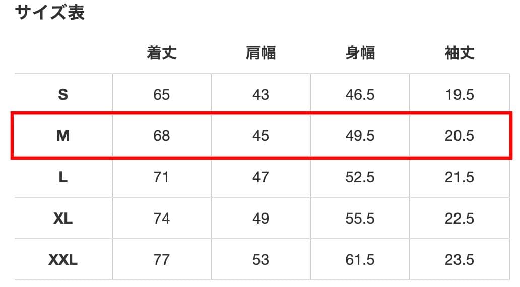 新品 グレー Mサイズ V12 JNEON P MOCK メンズ モックネック