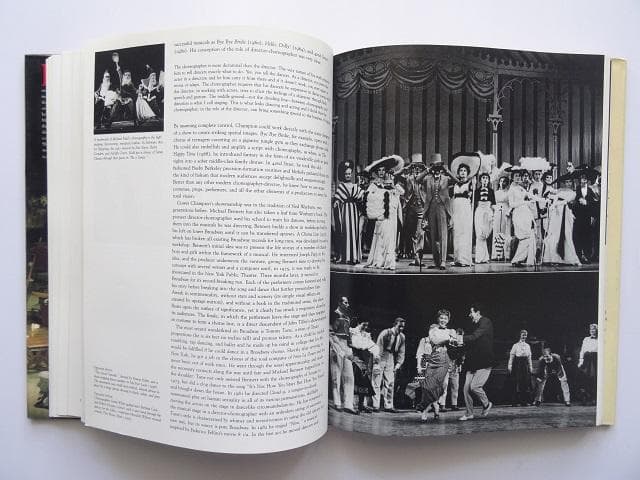 洋書◆アメリカの劇場 200年の歴史写真集 本 舞台 ミュージカル
