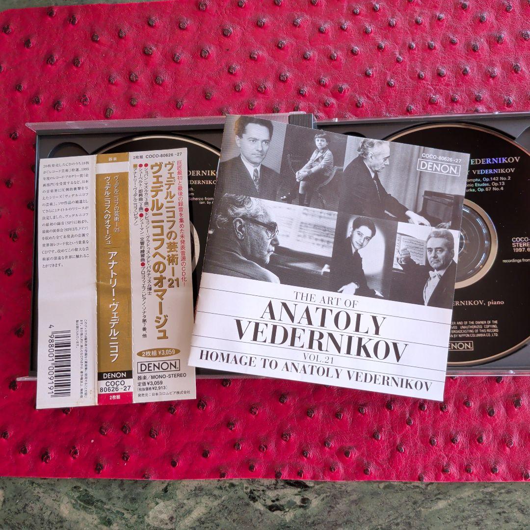 アナトリー・ヴェデルニコフの芸術21