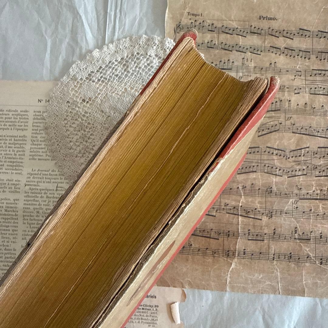 大容量レア1897年アンティーク洋書フランス語ジャンクジャーナル古書　雑誌