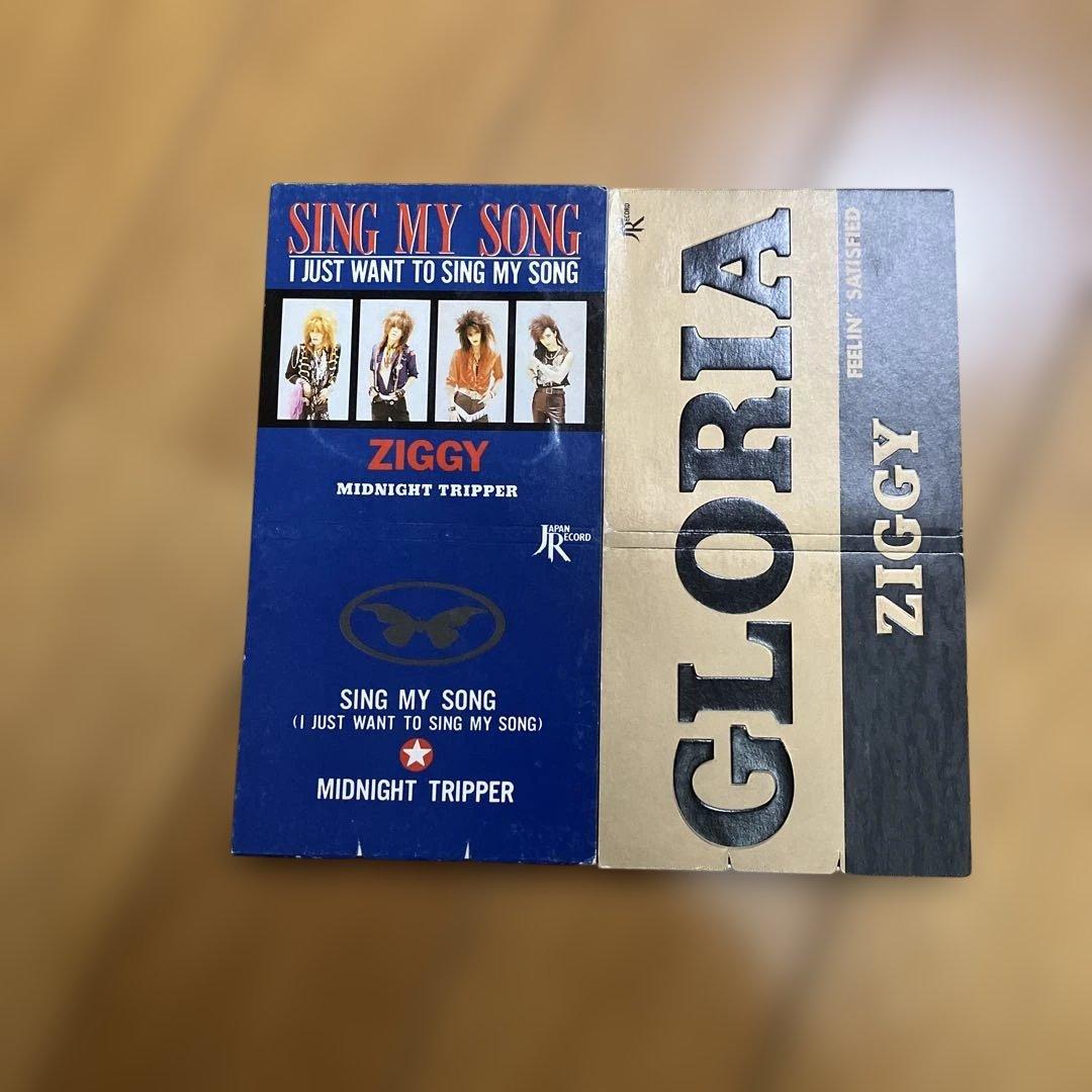 ZIGGY レコードセット