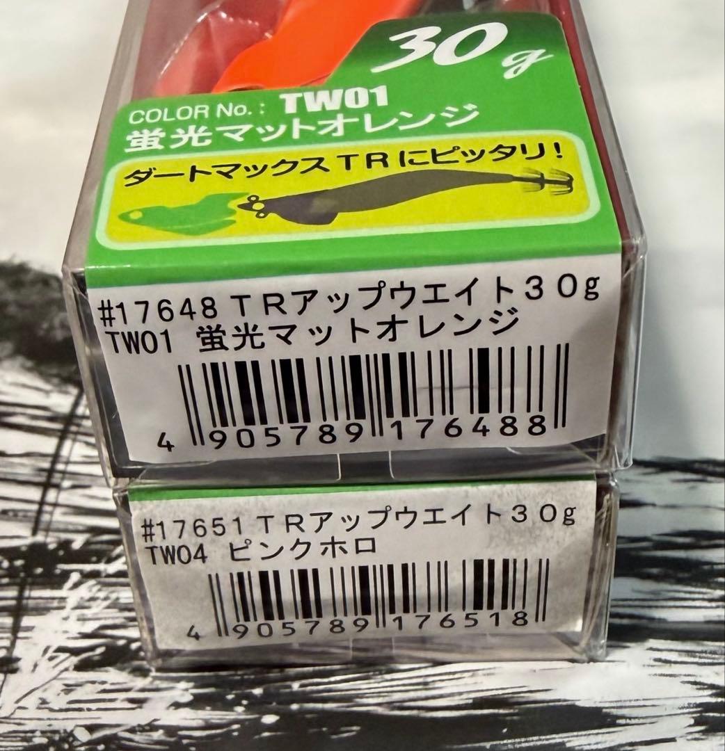 エギリー　ダートマックスTR専用　アップウェイト30g 2組セット