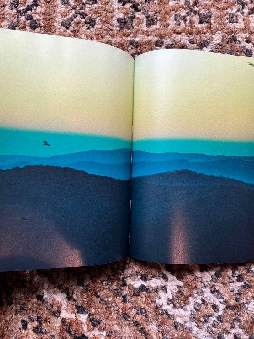 LVC LEVI'S VINTAGE CLOTHING 2015 ルックブック