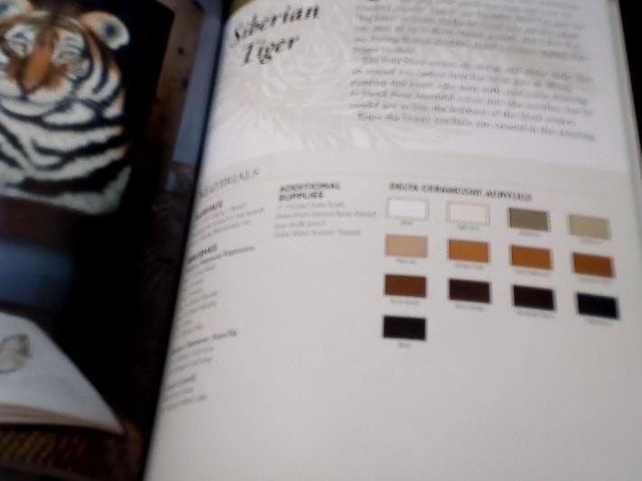 Painting on the Wild Side（状態並上トールペイント動物鳥