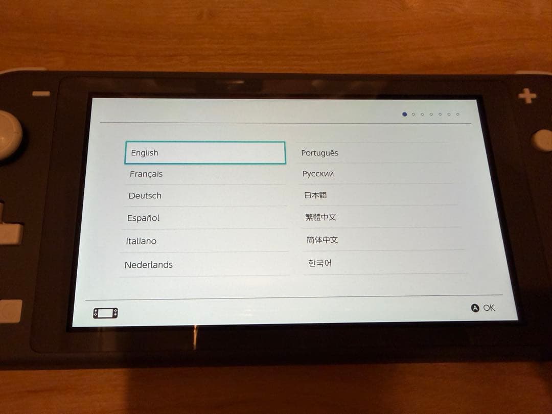 Nintendo Switch Lite グレー 本体 中古
