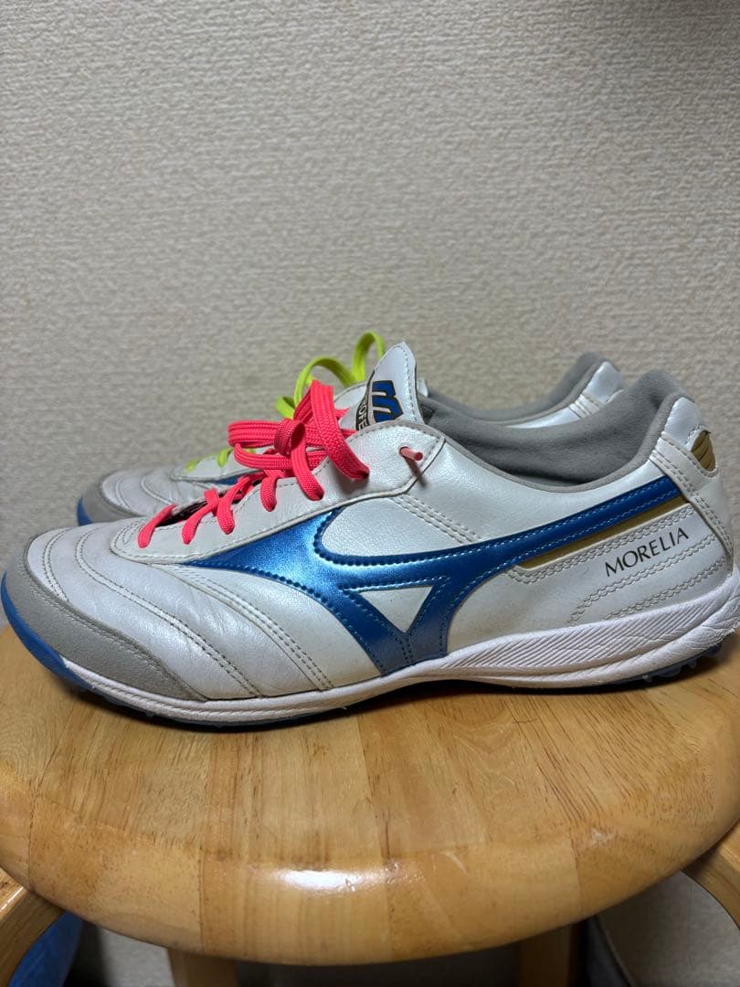 モレリアトレシュー 25.0