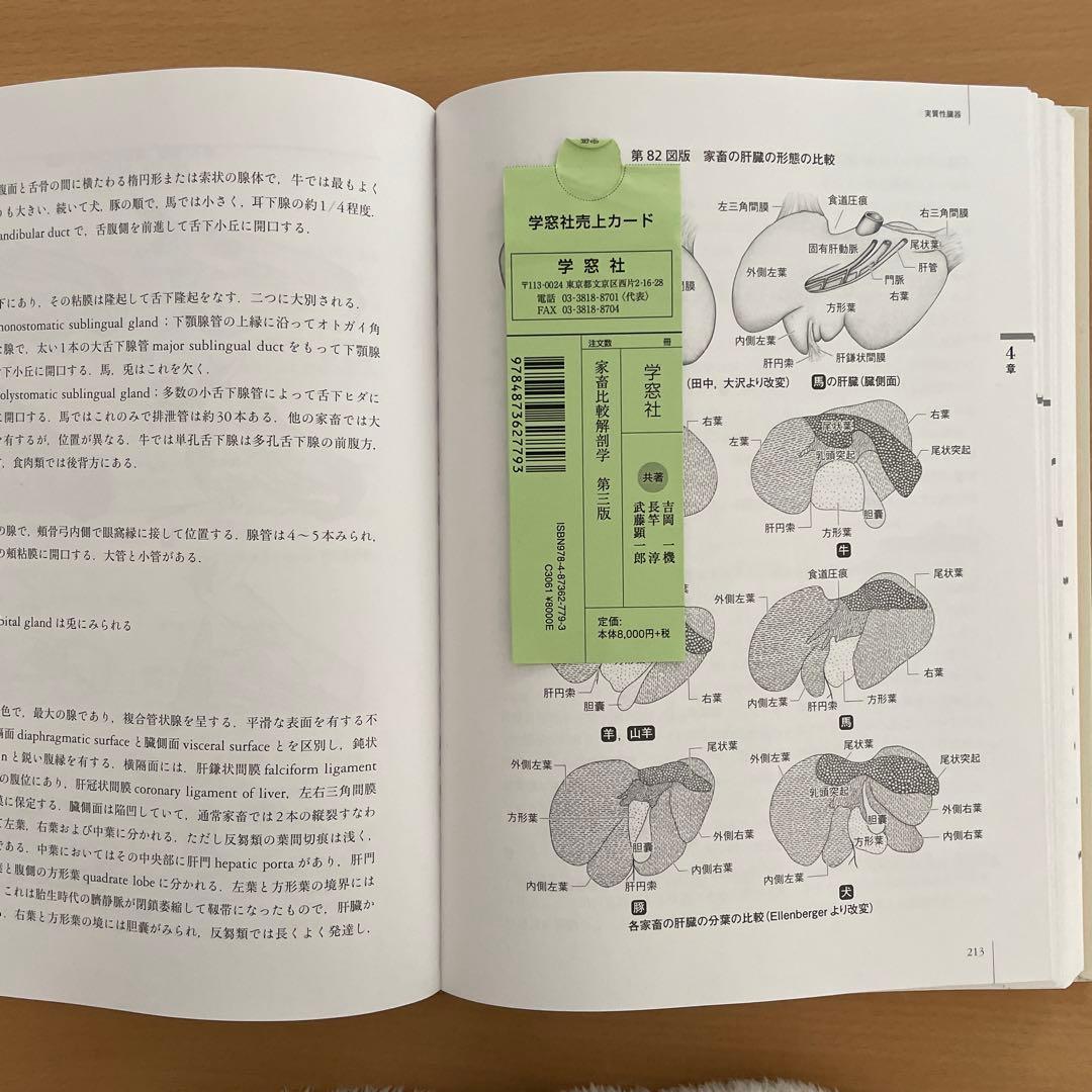 家畜比較解剖学第3版