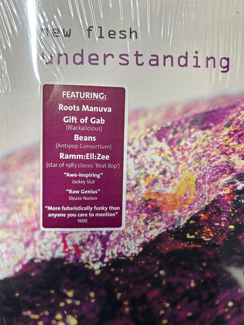 new flesh / understanding 2枚組レコード