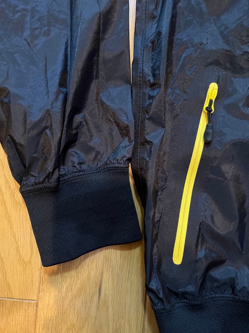 ブラジルウィンブレ