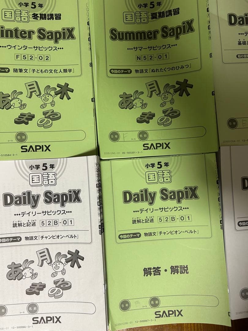 ㉓み　サピックス　Daily Sapix 5年生 国語 問題集と解説　1年分