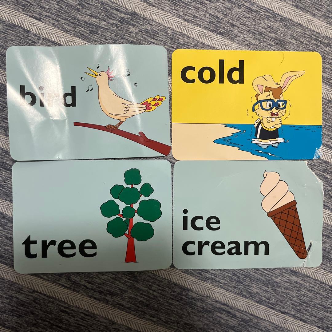 Every Day With Zippy DVDセット