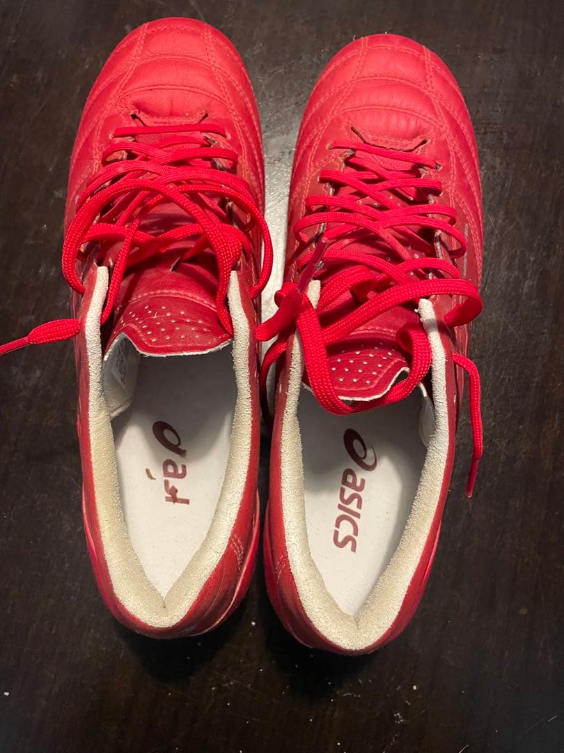 アシックス　DS LIGHT X-FLY 4 26センチ