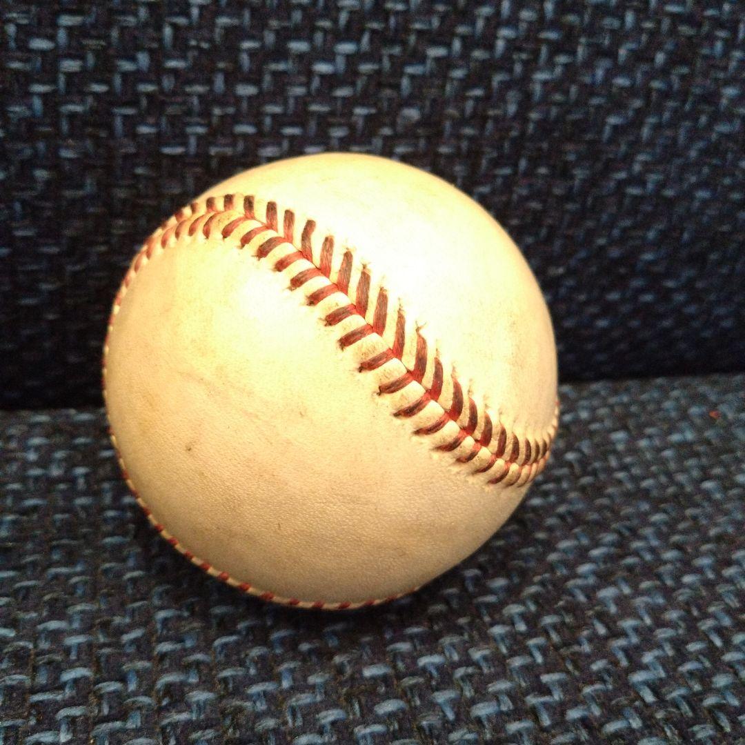 ウイニングボール星野仙一サイン入(レア物)