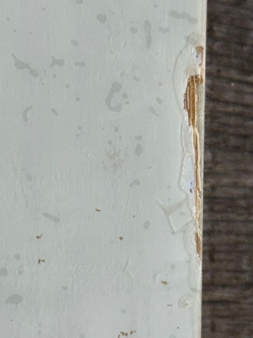 サロモン　Assassin 156センチ　19-20モデル