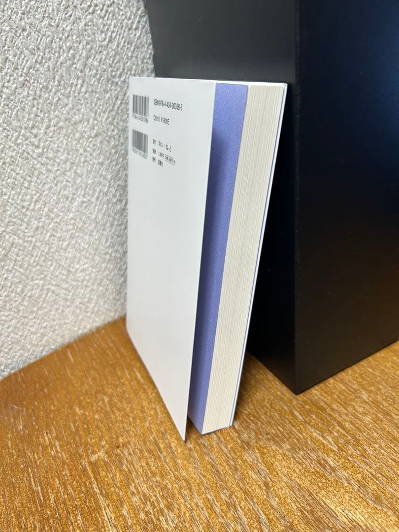 光の魂たち 山岳編 序章 人の御魂を磨く聖なる山々　中古書籍