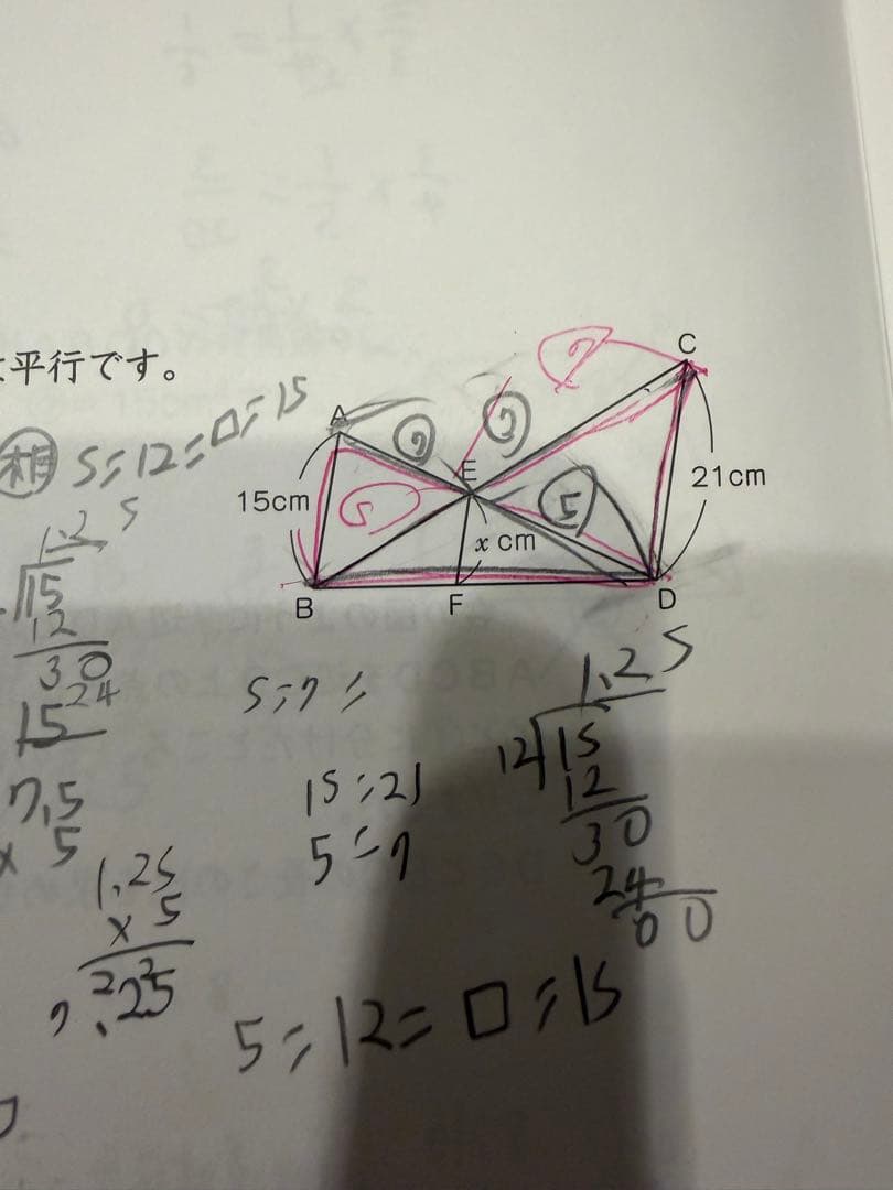 グノーブル 実力確認テスト GnoRev 5年生 (全12回)