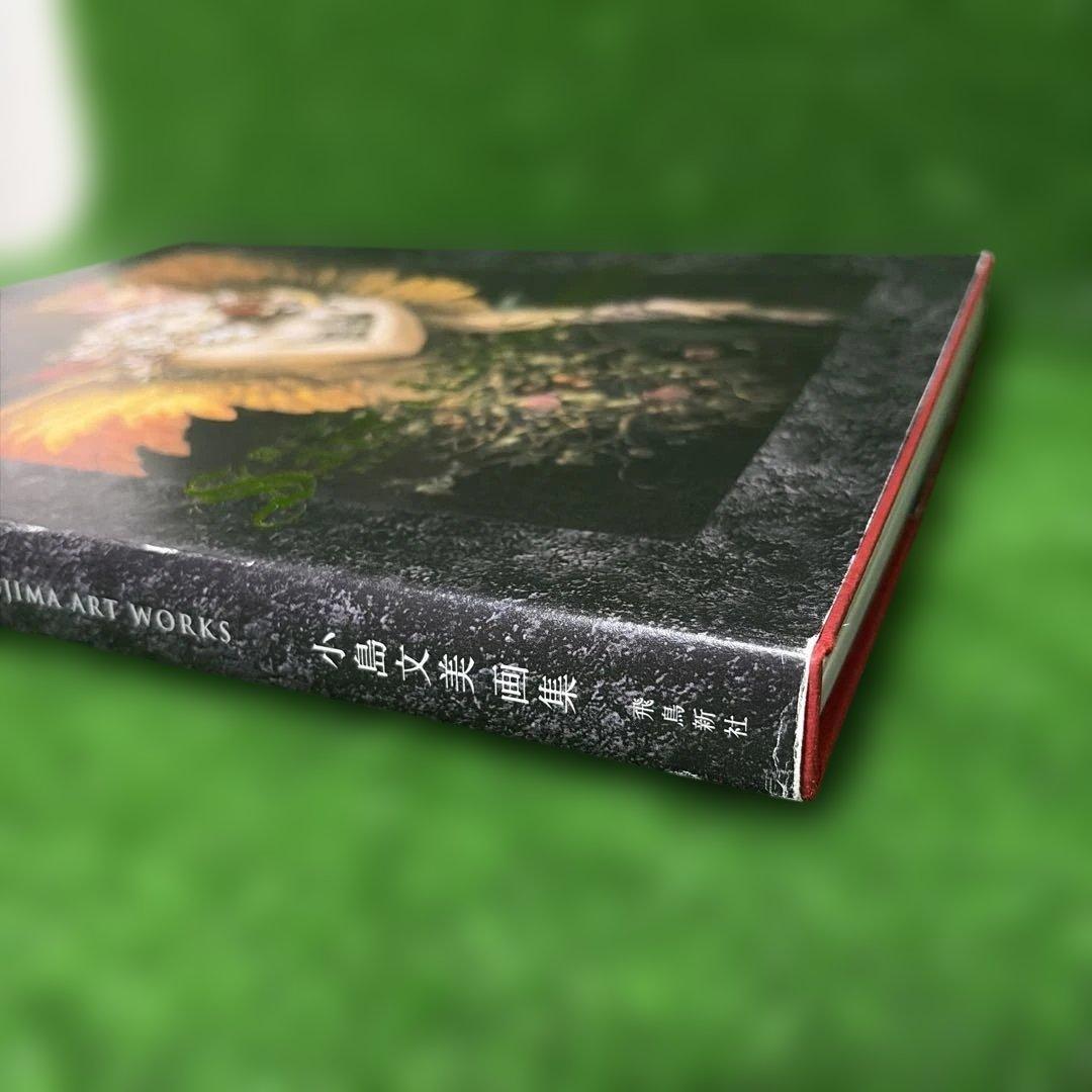 【希少】小島文美画集　緋いユリ　Santa Lilio Sangre